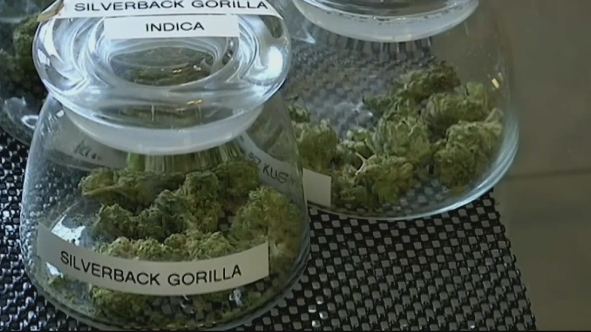Detroit City Council approves recereational marijuana in 8-1 vote